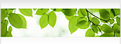 Working In Canada's logo Working In Canada's Company logo