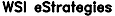 WSI eStrategies