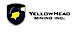 Yellowhead Mining