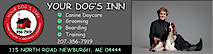 Your Dogs Inn