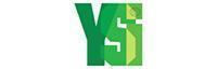 Youth Services International
