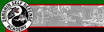 Zanshin Self Defense Academy
