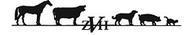 Zeeland Veterinary Hospital P.c's logo Zeeland Veterinary Hospital P.c's Company logo