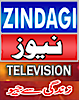 Zindagi News's logo Zindagi News's Company logo