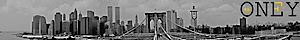 Zionlyone.fr's logo Zionlyone.fr's Company logo
