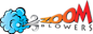 Zoom Blowers