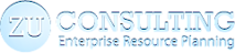 Zu-consulting's logo Zu-consulting's Company logo